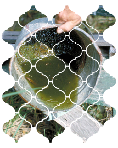 Eliminate Stagnant Water