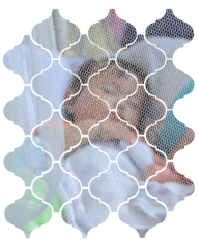 Use Mosquito Nets and Screens